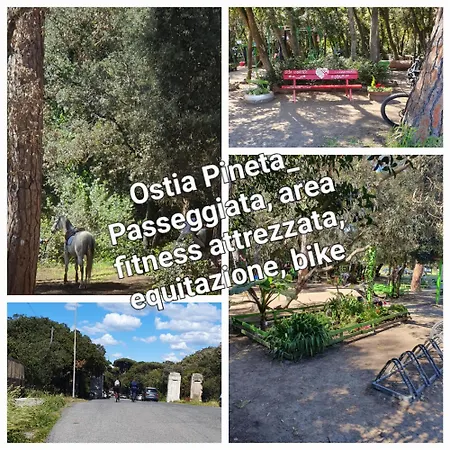 Casa Diana 아파트 리도디오스티아